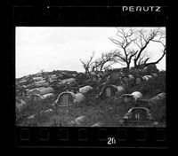 藏品(鄧南光135底片(1315))的圖片