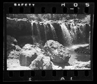 藏品(鄧南光135底片(1340) )的圖片