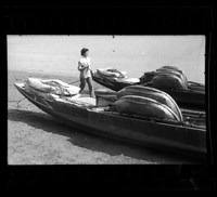 藏品(鄧南光135底片(1410))的圖片