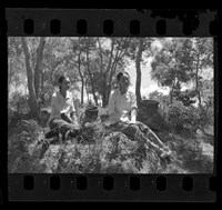 藏品(鄧南光135底片(1425))的圖片