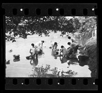 藏品(鄧南光135底片(1437))的圖片