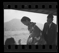 藏品(鄧南光135底片(1509))的圖片