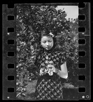 藏品(鄧南光135底片(1723))的圖片