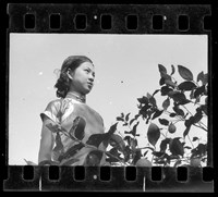 藏品(鄧南光135底片(1727))的圖片