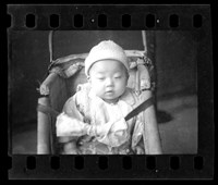 藏品(鄧南光135底片(1771))的圖片