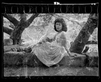 藏品(鄧南光135底片(1904))的圖片