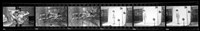 藏品(鄧南光135底片(1952))的圖片