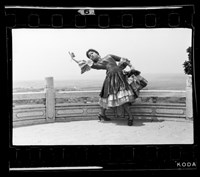 藏品(鄧南光135底片(1977))的圖片