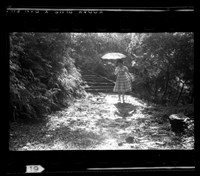 藏品(鄧南光135底片(2089))的圖片