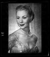 藏品(鄧南光135底片(2131))的圖片