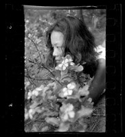 藏品(鄧南光135底片(2156))的圖片