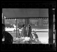 藏品(鄧南光135底片(2200))的圖片