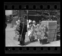 藏品(鄧南光135底片(2205))的圖片