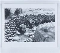 藏品(鄧南光120底片4)的圖片