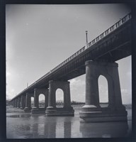 藏品(鄧南光120底片25)的圖片