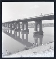 藏品(鄧南光120底片28)的圖片