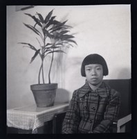 藏品(鄧南光120底片37)的圖片