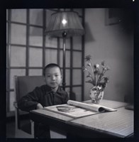 藏品(鄧南光120底片41)的圖片