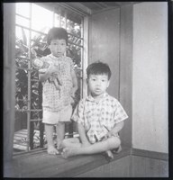 藏品(鄧南光120底片56)的圖片