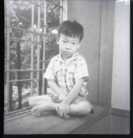 藏品(鄧南光120底片57)的圖片