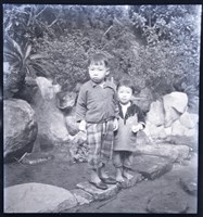 藏品(鄧南光120底片71)的圖片