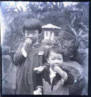 藏品(鄧南光120底片75)的圖片