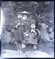 藏品(鄧南光120底片76)的圖片