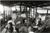 藏品(八尺門系列—2%的希望與掙扎 17)的圖片