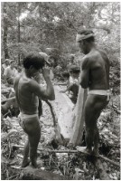 藏品(蘭嶼造舟系列 8)的圖片