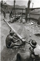 藏品(蘭嶼造舟系列 11)的圖片