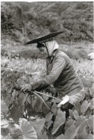 藏品(蘭嶼造舟系列 21)的圖片