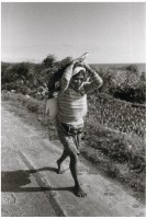 藏品(蘭嶼造舟系列 22)的圖片