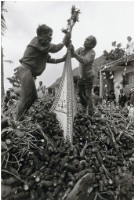 藏品(蘭嶼造舟系列 26)的圖片