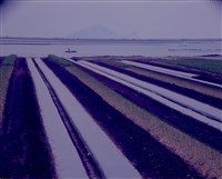 藏品(〈從錦草社區堤防上望龜山島〉)的圖片