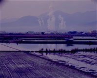 藏品(〈宜蘭東山河親水公園橋西望東南〉)的圖片