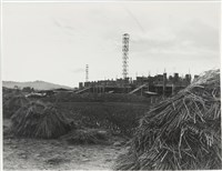 藏品(水褲頭系列10)的圖片