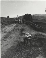 藏品(水褲頭系列16)的圖片