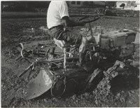 藏品(水褲頭系列17)的圖片