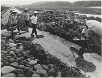 藏品(加里山下的家鄉系列2)的圖片