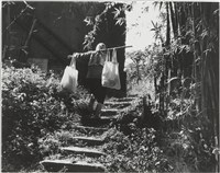 藏品(加里山下的家鄉系列6)的圖片