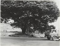 藏品(《加里山下的家鄉》系列32)的圖片