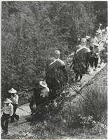 藏品(加里山下的家鄉系列38)的圖片