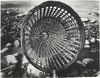 藏品(風吹日炙系列4：毛蟹笱)的圖片