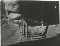 藏品(風吹日炙系列7：鐵鉔)的圖片