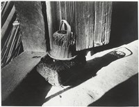 藏品(風吹日炙系列8)的圖片