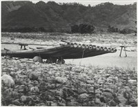 藏品(風吹日炙系列11)的圖片