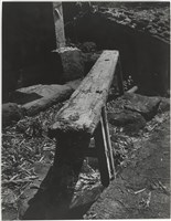 藏品(風吹日炙系列18)的圖片