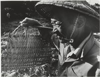 藏品(汗流脈絡系列12)的圖片