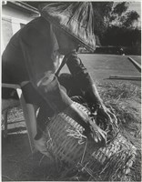 藏品(汗流脈絡系列15)的圖片