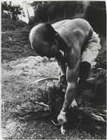 藏品(《汗流脈絡》系列18)的圖片